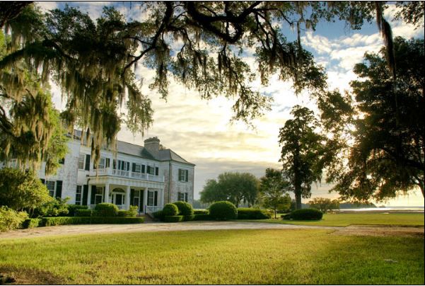 Chelsea Plantation